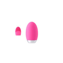 Silicon Facial Skin Care Cleansing Brush with Massager